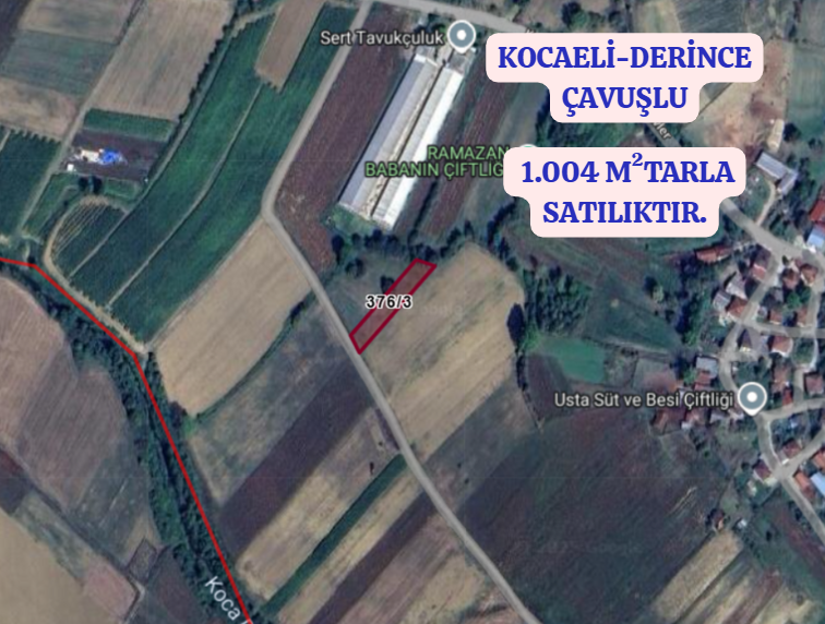 KOCAELİ DERİNCE ÇAVUŞLU MAHALLESİNDE 1.004 M² TARLA SATILIKTIR - KOCAELİ DERİNCE fotoğraf 2