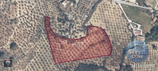 ŞEHIR MERKEZINE YAKIN 15.033 M² SATILIK ZEYTINLIK - AYDIN KUŞADASI fotoğraf 15