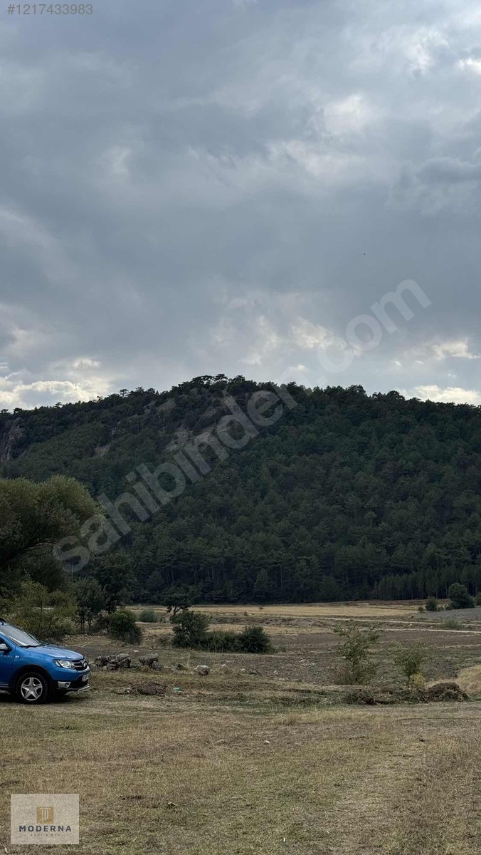 ESKİŞEHİR YAPILDAK YAYLASINDA MANZARALI 1.505 M2 TEK TAPU FIRSAT - ESKİŞEHİR SEYİTGAZİ fotoğraf 5