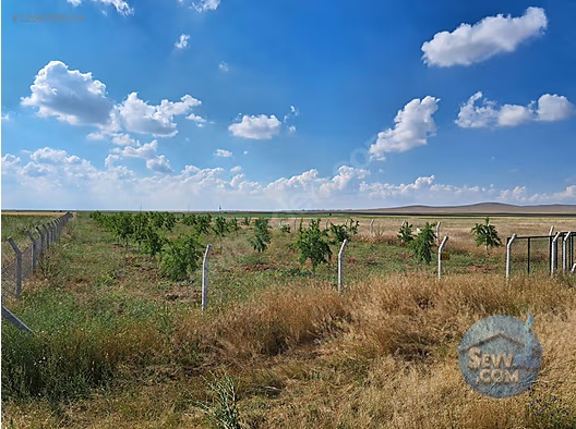 konya çumra erentepe satlik tarla 2200m2 - KONYA ÇUMRA fotoğraf 4