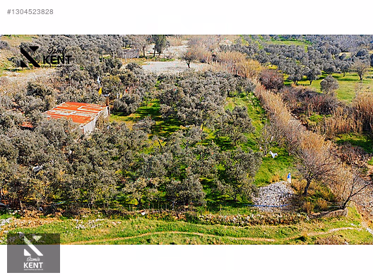 Kemalpaşa Örnekköy Satılık 1.635 m2 Bahçe - İZMİR KEMALPAŞA fotoğraf 3