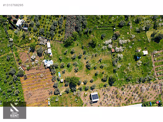 Kemalpaşa Armutlu Satılık Arazi 4.000 m2 - İZMİR KEMALPAŞA fotoğraf 15