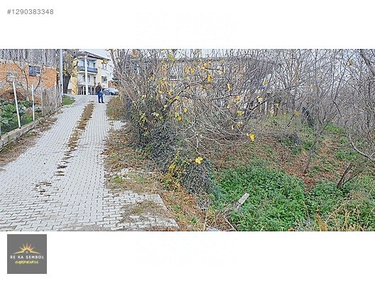 SAKARYA/SAPANCA/MEMNUNİYE MAH. SATILIK EV VE FINDIK BAHÇESİ - SAKARYA SAPANCA fotoğraf 16