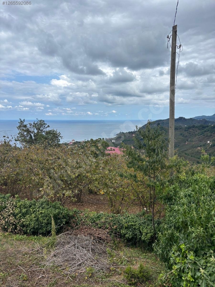 OBHD GLOBAL GAYRİMENKUL'DEN KEŞAP TEPEKÖY'DE SATILIK ARSA - GİRESUN KEŞAP fotoğraf 6