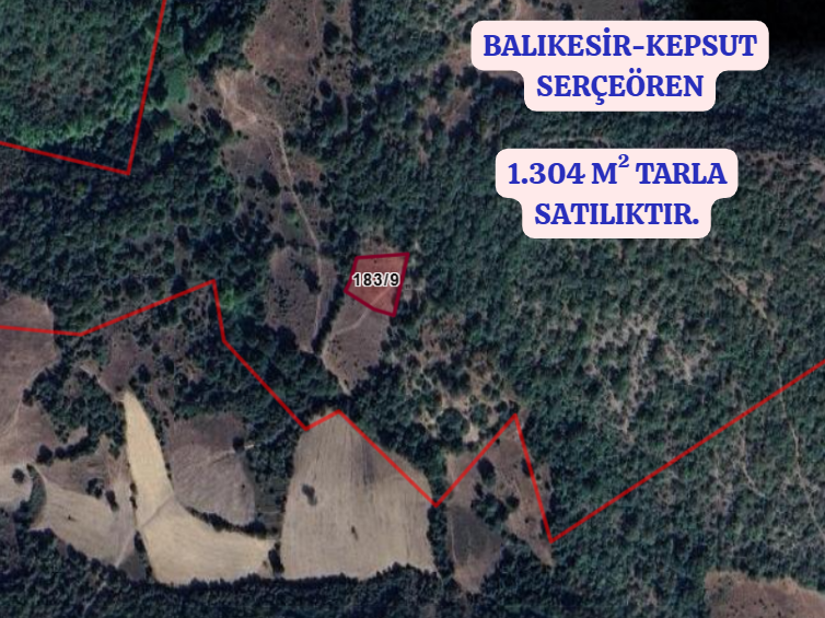 BALIKESİR KEPSUT SERÇEÖREN  KÖYÜNDE 1.304 M² TARLA SATILIKTIR - BALIKESİR KEPSUT fotoğraf 2