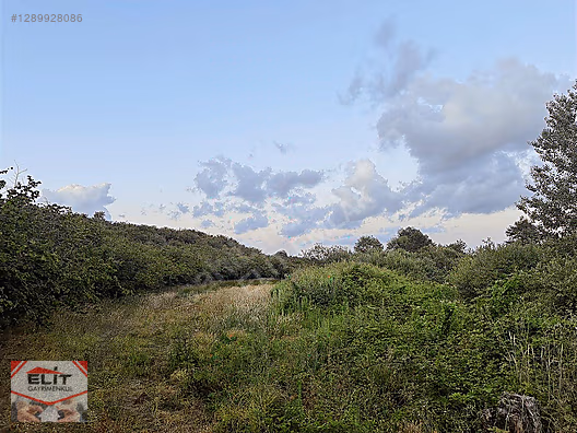 SAKARYA KARASU'DA SATILIK FRSAT KÖY İÇİNDE 635 metre² KUPON ARSA - SAKARYA KARASU fotoğraf 31