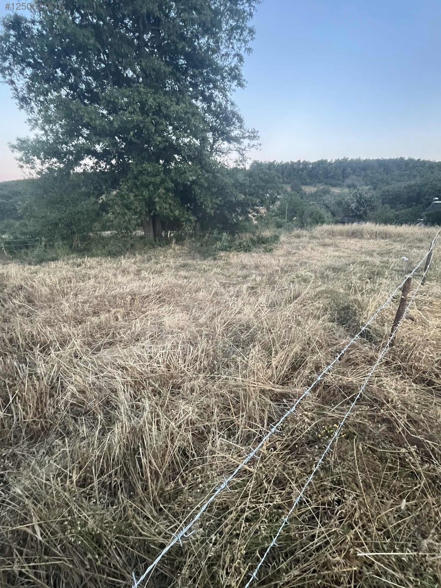 Samsun kavak çalbaşı mahallesi - SAMSUN KAVAK fotoğraf 6