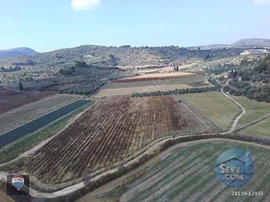 Kuşadası Değirmendere’de Satılık 12.400 m² Bağ, Zeytin ve Ceviz Bahçesi - AYDIN KUŞADASI fotoğraf 4