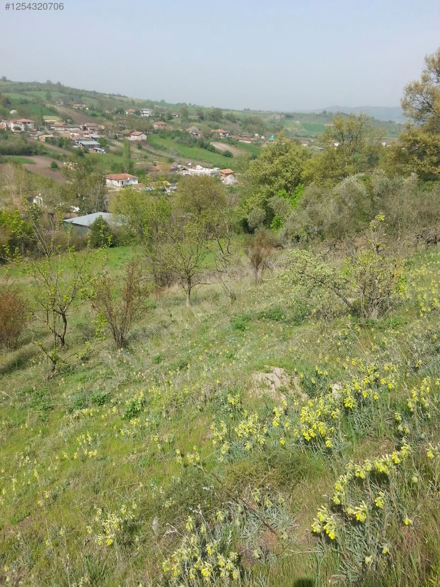 BURSA M.KEMALPAŞA DEMİRDERE KÖYÜNDE 4.536 M² TARLA SATILIKTIR. - BURSA MUSTAFAKEMALPAŞA fotoğraf 10