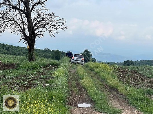 İNEGÖL DÖMEZ MH SATILIK TOPLAM 3.000M2 - BURSA İNEGÖL fotoğraf 7