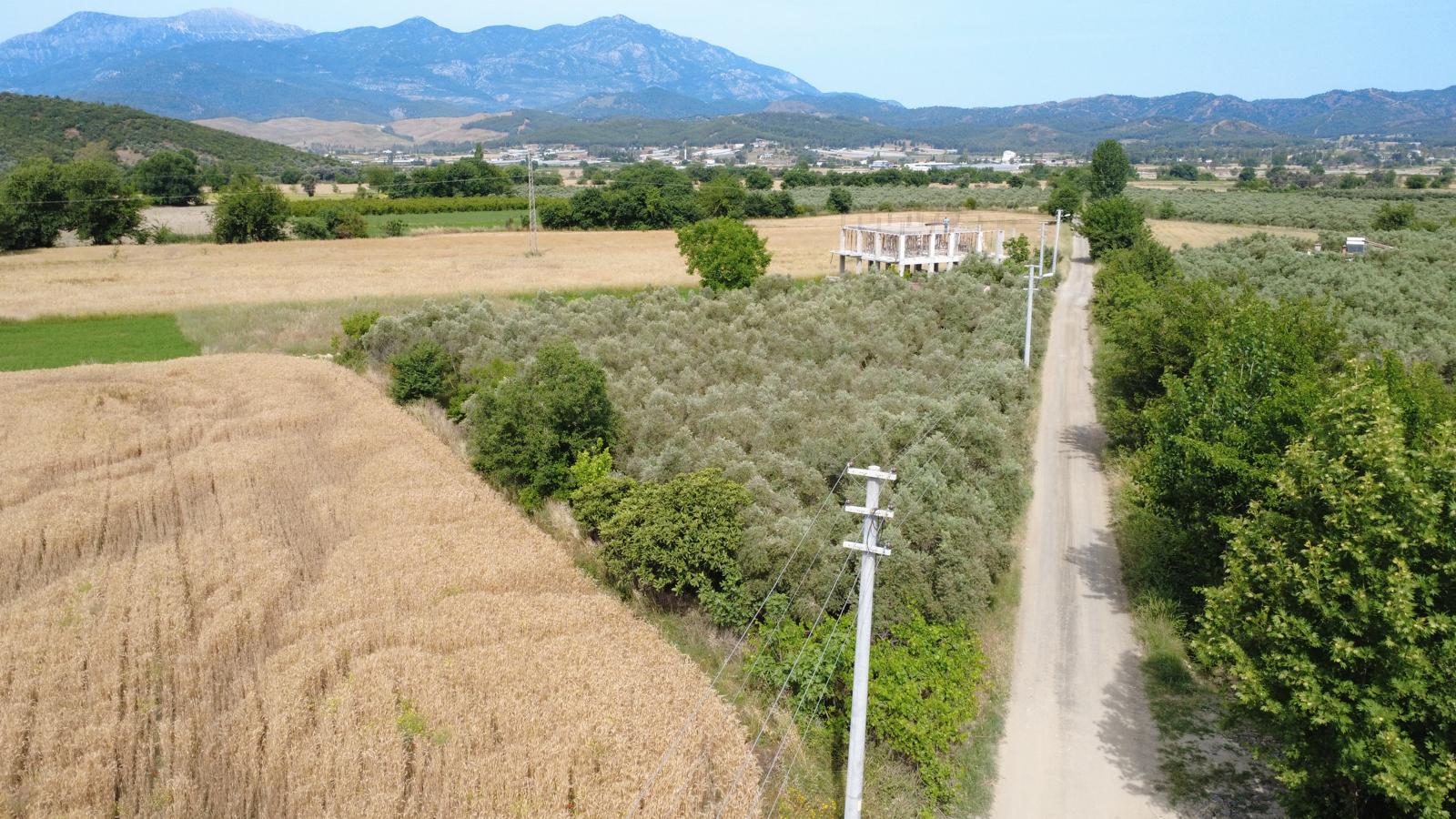 Zeytin ve meyve bahçesi 1+1 prefabrik daire - MUĞLA SEYDİKEMER fotoğraf 8