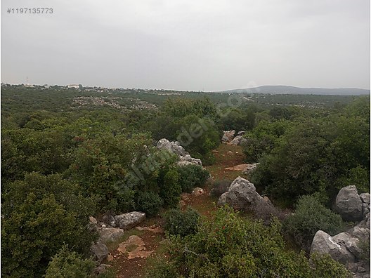   Mersin / Silifke / Hüseyinler Mh. 715M² TARLAMIZ SATILIKTIR.   - MERSİN SİLİFKE fotoğraf 2