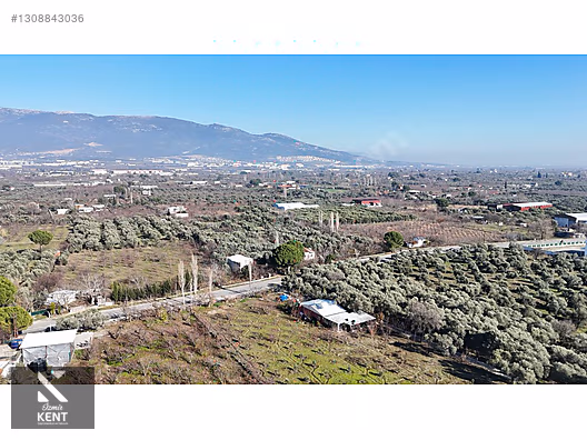 Kemalpaşa M.Akif Ersoy Satılık 7.250 m2 Bahçe Tek Tapu - İZMİR KEMALPAŞA fotoğraf 29