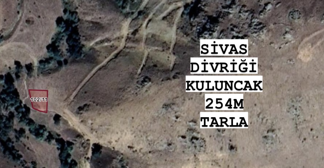 İlan Resmi