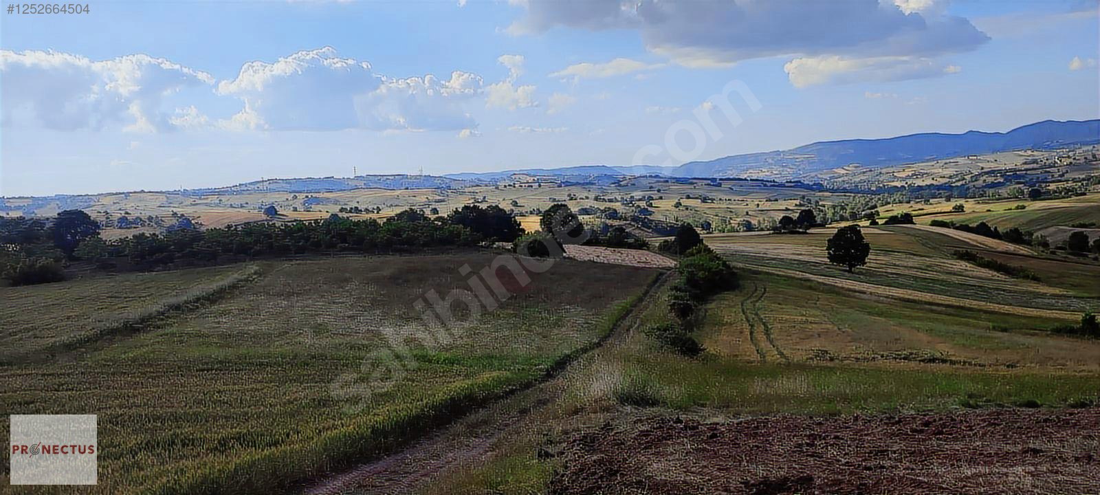 KIZDERBENT MAHALLESİNDE RESMİ YOLLU 2293 M2 SATILIK TARLA - KOCAELİ KARAMÜRSEL fotoğraf 10
