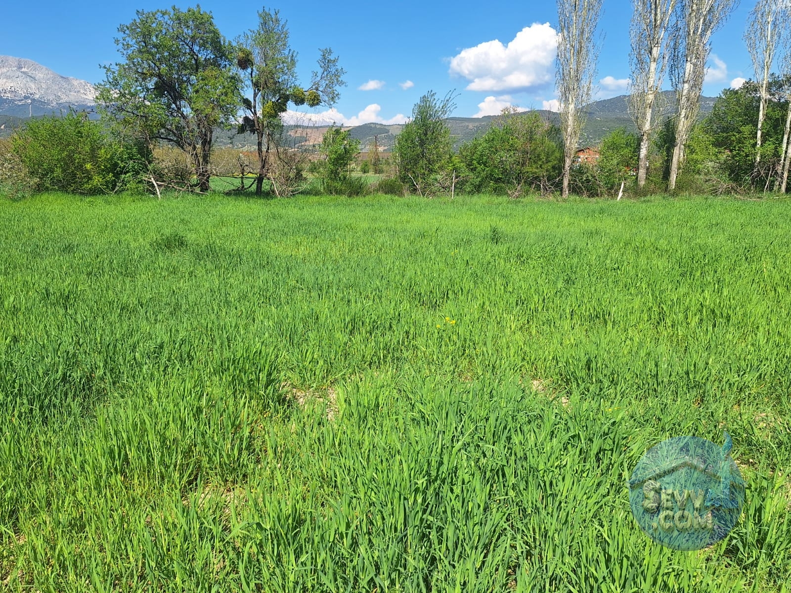 AĞLASUN KİBRİT KÖYÜNDE SATILIK FIRSAT ARAZİ - Burdur Ağlasun fotoğraf 27