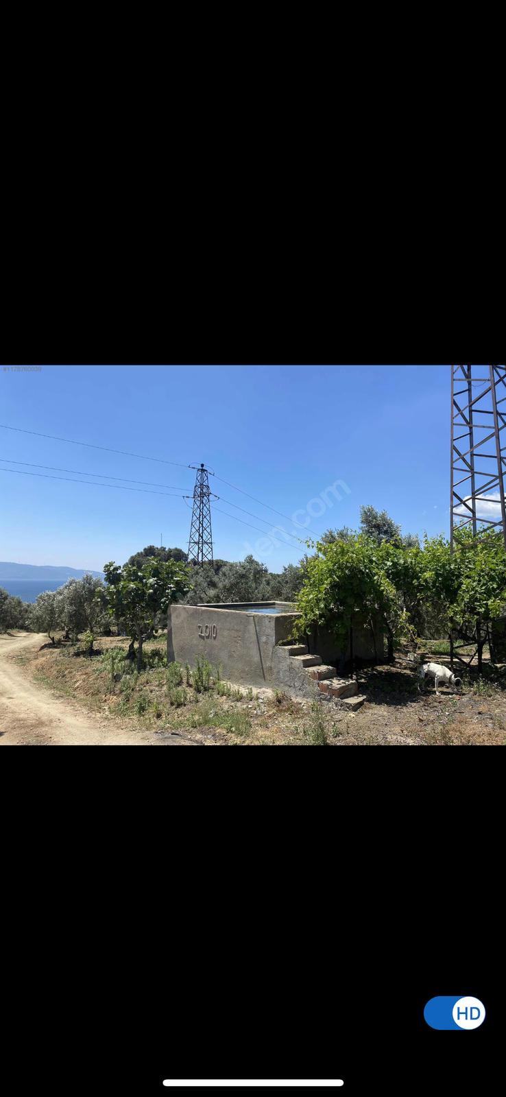 Bursa Gemlik Karacaali mahallesi satılık zeytinlik - BURSA GEMLİK fotoğraf 7