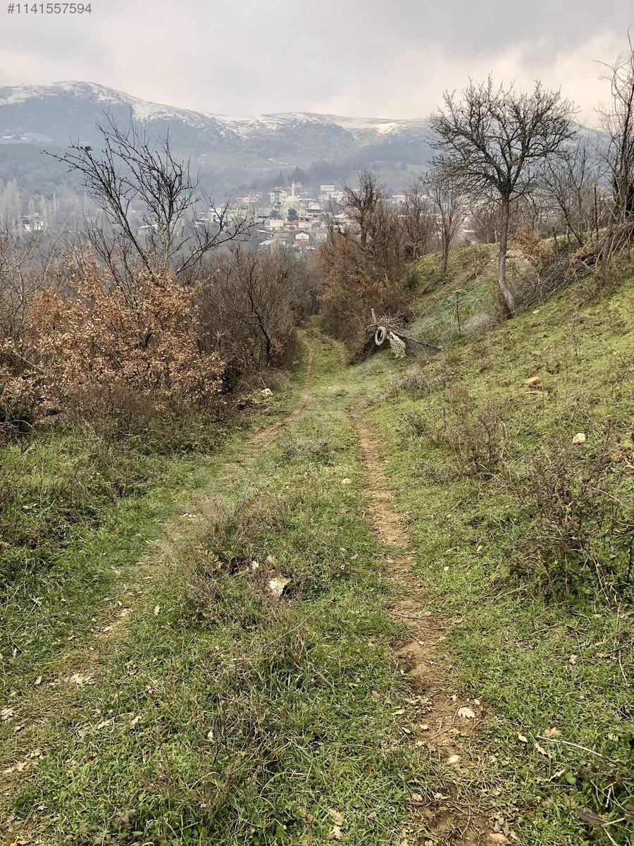 ŞAHİNYURDUNDA KÖY İÇİNDE ARSA - BURSA GEMLİK fotoğraf 15