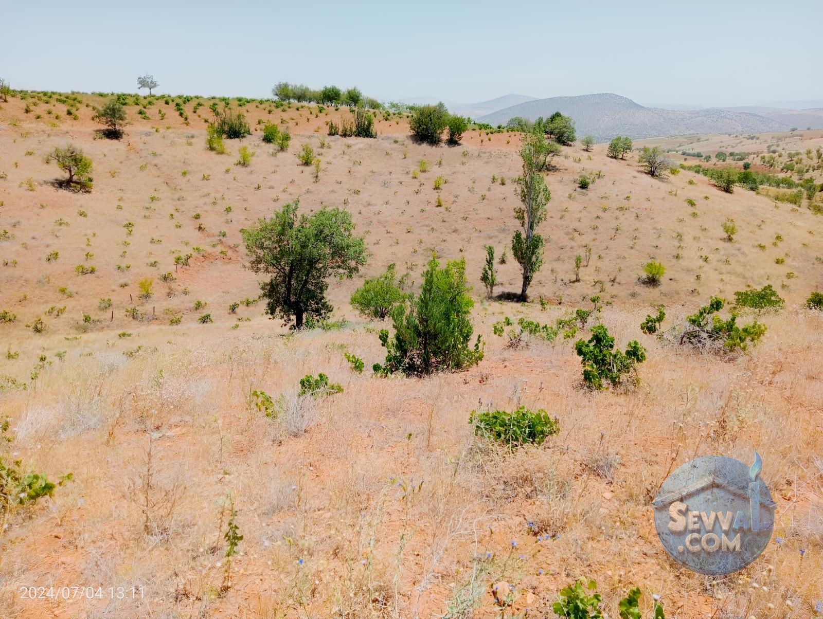 KARAMAN MERKEZ MURATDEDE KÖYÜNDE 5.746 M² ÜZÜM BAĞI SATILIKTIR - Karaman Merkez fotoğraf 4