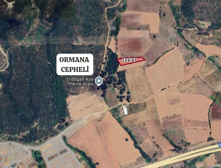 BURSA KESTEL ERDOĞAN KÖYÜ'NDE 3.663  M² TARLA SATILIKTIR - BURSA KESTEL fotoğraf 5