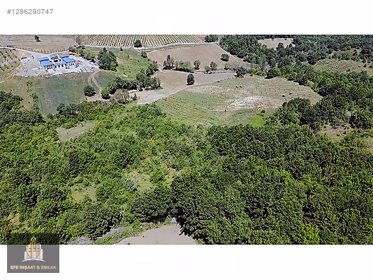 ALTINOVA ÖRENCİKTE 6982 M2 YOLA 66 M YATIRIMA UYGUN MÜSTAKİL - YALOVA ALTINOVA fotoğraf 10