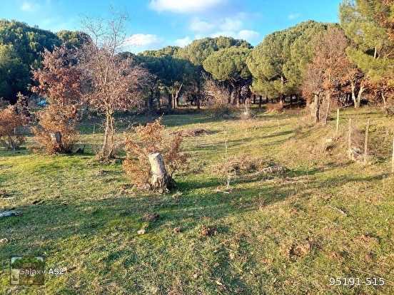 BERGAMA KOZAK YAYLASI KARAVELİLER MAH DE 2360 m2 BAHÇE - İZMİR BERGAMA fotoğraf 3