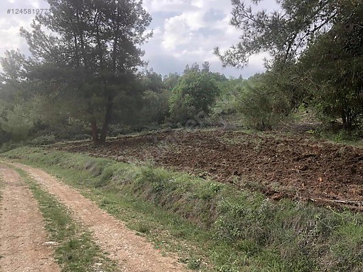 BURSA KELEŞ  BELENÖREN'DE 825 M²  TARLA  SATILIKTIR. - BURSA KELES fotoğraf 9