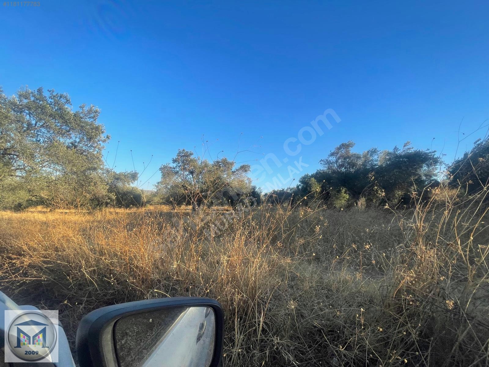 PELİTKÖY SAHİLDE İMARA 650 METRE SATILIK 6.500M2 ZEYTİNLİK - BALIKESİR BURHANİYE fotoğraf 19