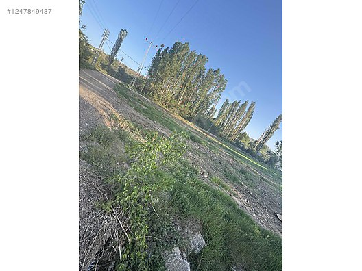 ANKARA ELMADAĞ TATLICA KÖYÜNDE 2.072 M² BAĞIMIZ  SATILIKTIR - ANKARA ELMADAĞ fotoğraf 3