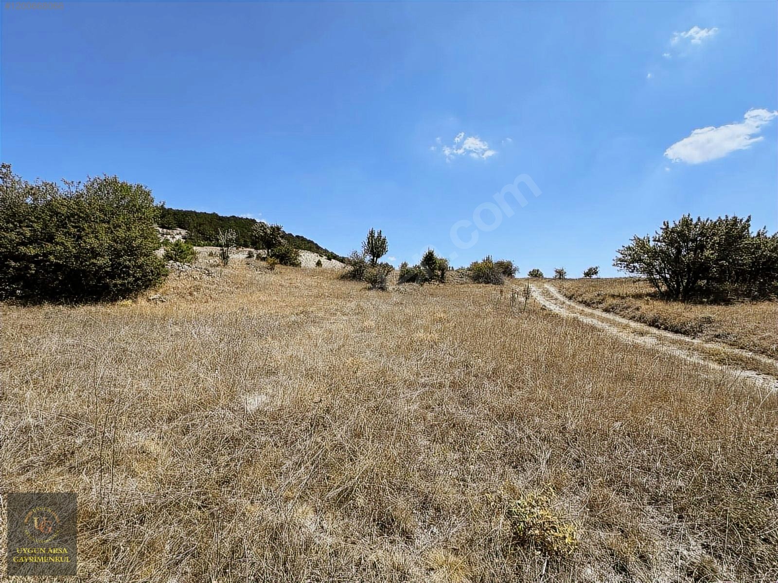 BOLU KIBRISCIK SARIKAYA'DA 8.370 M2 UYGUN ARSA - BOLU KIBRISCIK fotoğraf 19