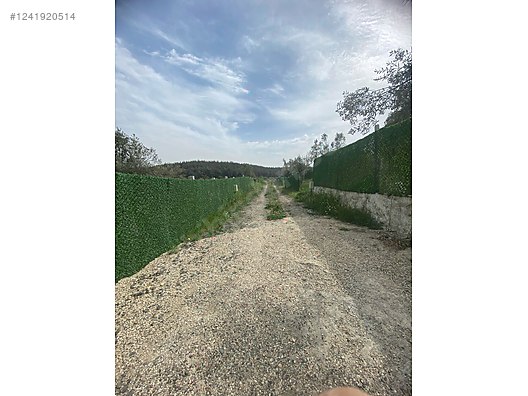 İZMİR-ALİAĞA-BOZKÖY’DE TARLA’NIN 300 M² ‘Sİ SATILIKTIR - İZMİR ALİAĞA fotoğraf 3