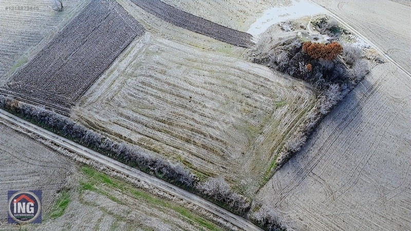 KIRKLARELİ MERKEZ PINAR MAHALLESİNDE 2.277 M2 ARAZİ - KIRKLARELİ MERKEZ fotoğraf 7