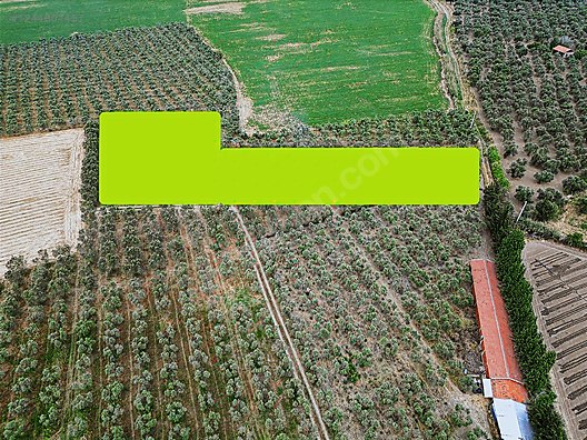 ARYA'DAN EDREMİT ÇIKRIKÇI'DA 5000 M2 TARLA - BALIKESİR EDREMİT fotoğraf 12