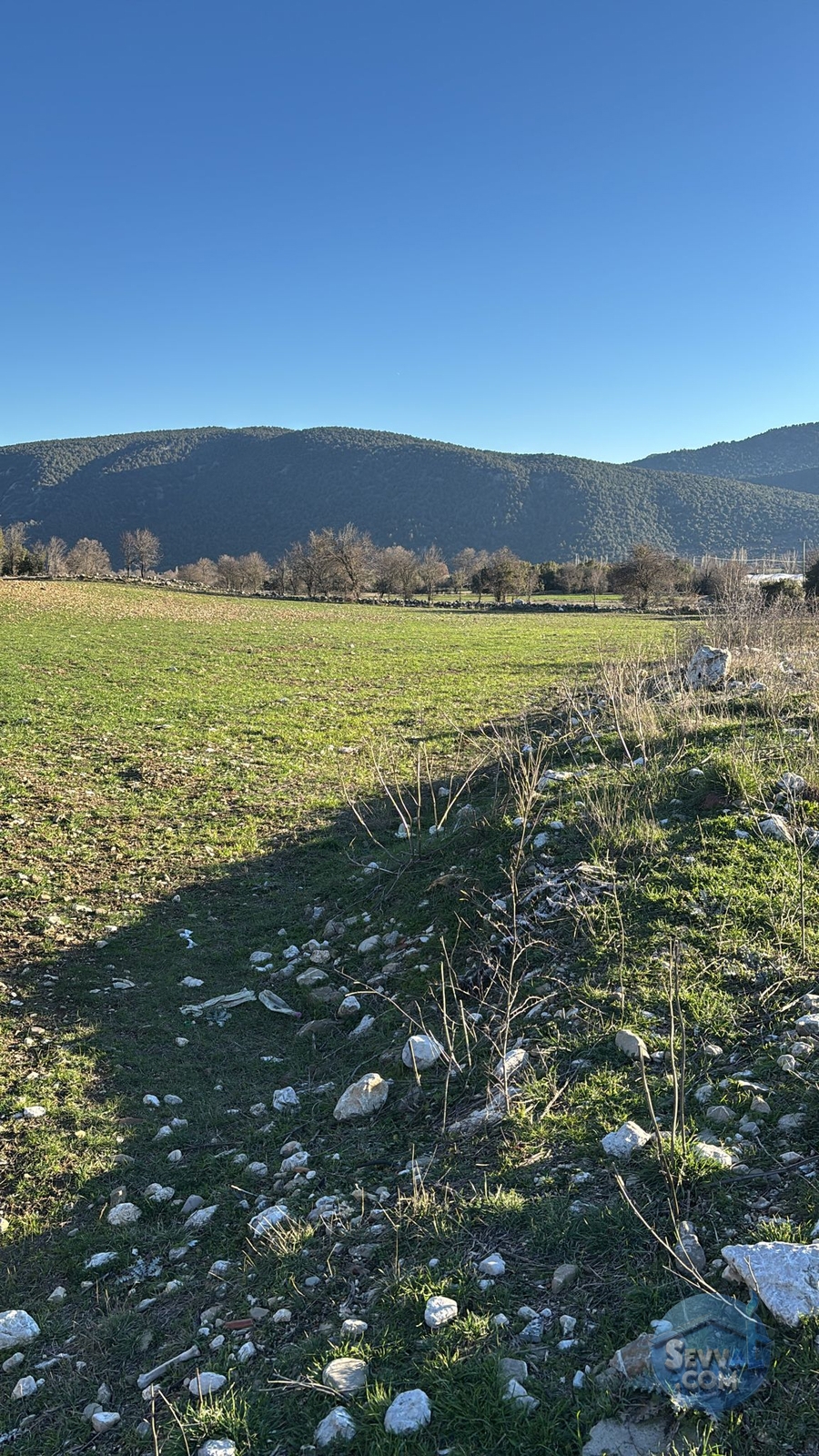 BURDUR-AĞLASUN YAZIR KÖYÜNDE YATRIMLIK FIRSAT TARLA - Burdur Ağlasun fotoğraf 13