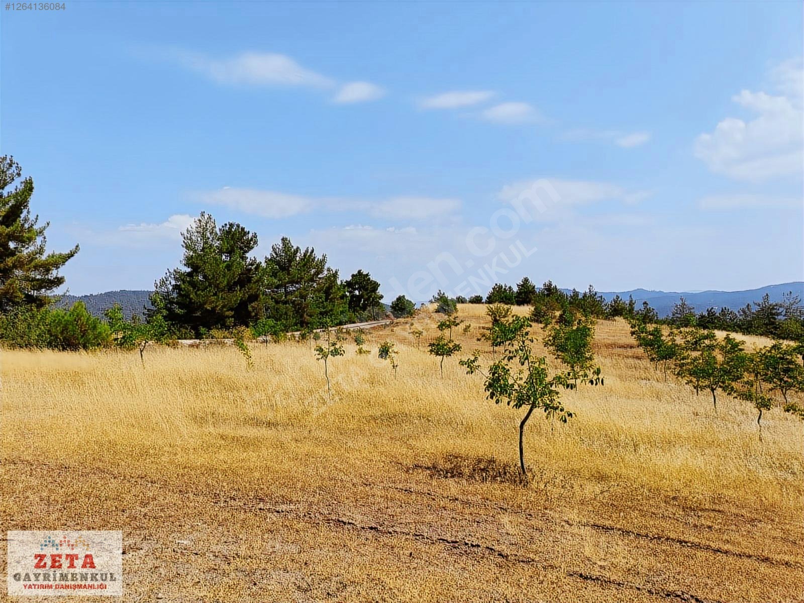 Sakarya Taraklı'da 11.240 m² Yatırımlık Tarla - SAKARYA TARAKLI fotoğraf 8