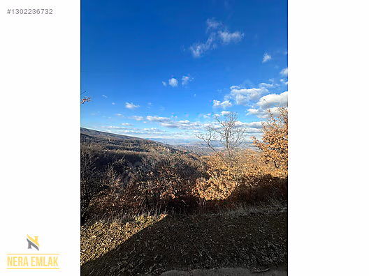 HORZUMKESERLER-İZMİR SARISU'YA YAKIN KADASTRO YOLLU 2.138m2 - MANİSA ALAŞEHİR fotoğraf 6