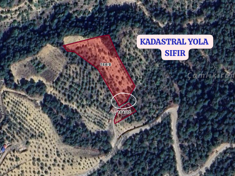 KÜTAHYA ŞAPHANE PAZAR  KÖYÜNDE   4.102 M²  BAHÇE  SATILIKTIR - KÜTAHYA ŞAPHANE fotoğraf 4