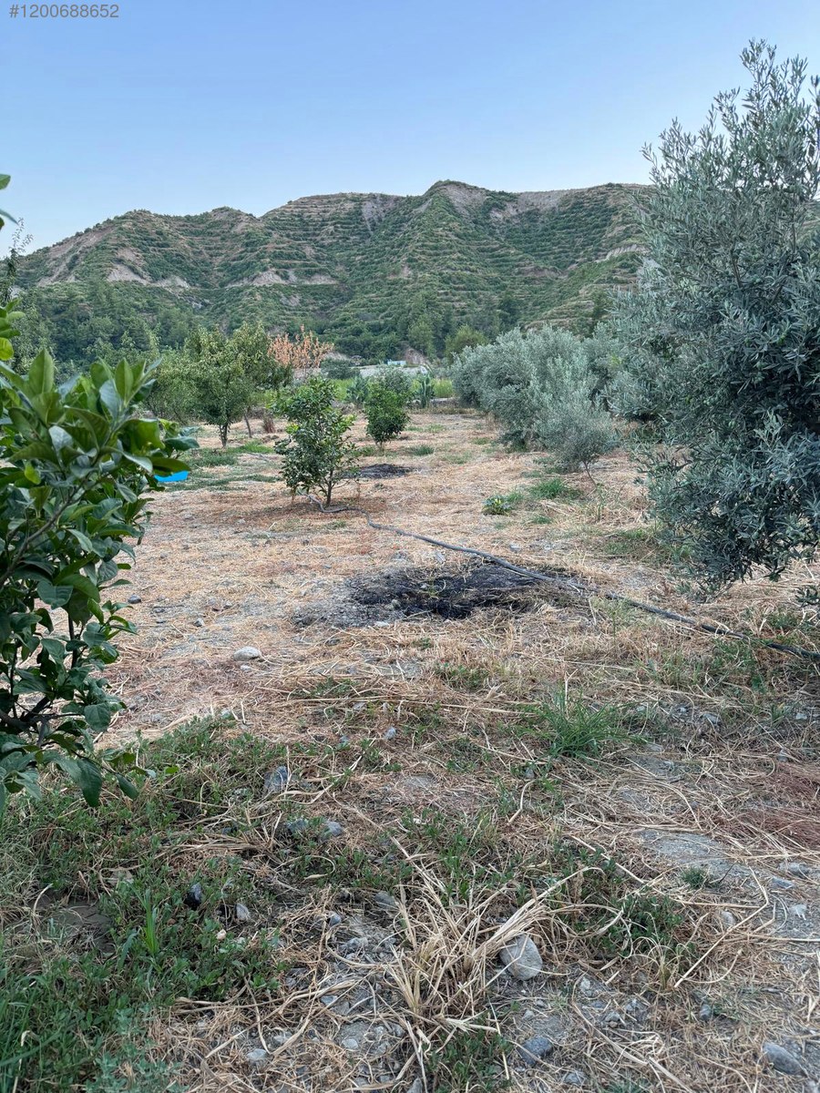 KARLISU'DA TERCİH EDİLEN BÖLGEDE MASRAFSIZ SAHİBİNDEN ARSA 1.180 M² - HATAY ANTAKYA fotoğraf 11