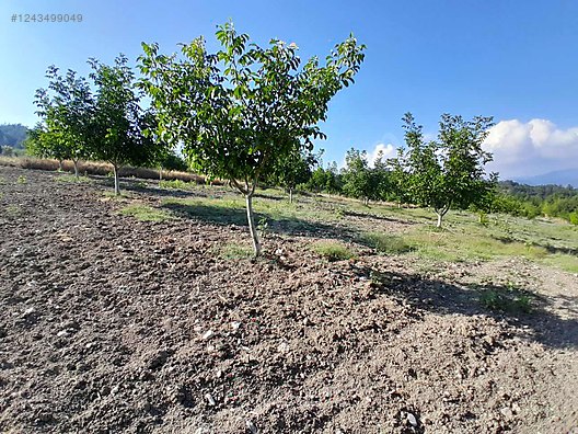 BURSA KELEŞ BELENÖREN'DE 5.270  M² BAHÇE SATILIKTIR - BURSA KELES fotoğraf 7