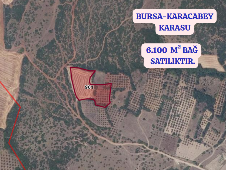 BURSA KARACABEY KARASU KÖYÜNDE 6.100  M² BAĞ SATILIKTIR - BURSA KARACABEY fotoğraf 2