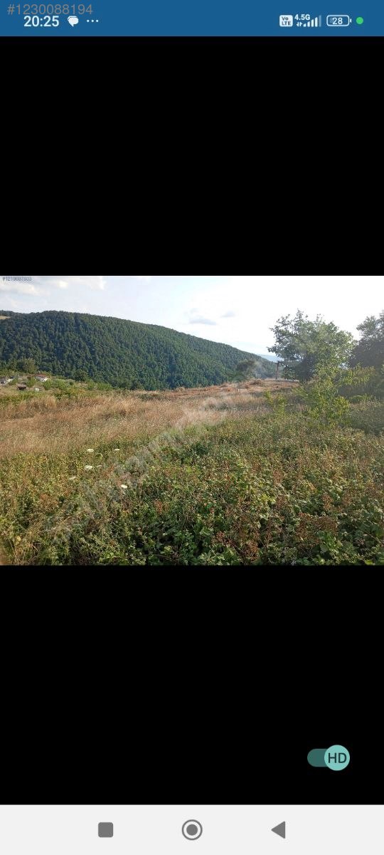 Suludere Ermeni çiftligi - KOCAELİ KARAMÜRSEL fotoğraf 6