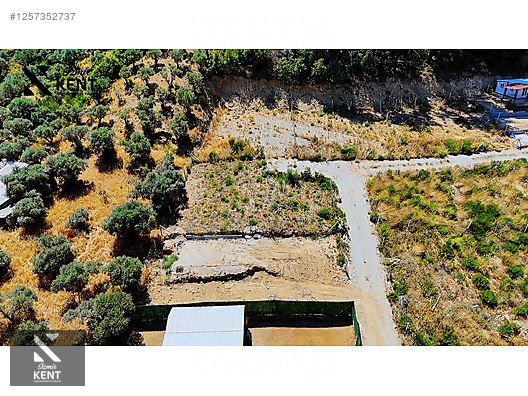 Kemalpaşa Yukarıkızılca Satılık 303 m2 Bahçe Elektrik Su Yol - İZMİR KEMALPAŞA fotoğraf 5