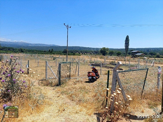 KOZAK YAYLASINDA KARAVELİLER MUHİTLERİ İÇİNDE ANA YOL KENARI 6400 M2 TARLA - İZMİR BERGAMA fotoğraf 7