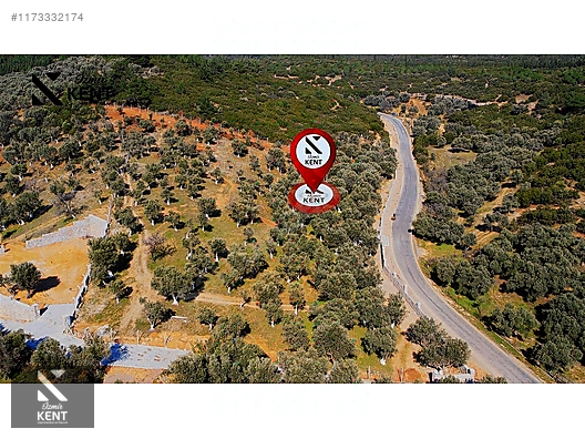 Kemalpaşa Sütçüler Satılık 11.398 m2 Bahçe - İZMİR KEMALPAŞA fotoğraf 9