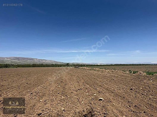 AKÇADAĞ BAHRİ İKİ AYRI TAPULU SATILIK SULU TARLA - MALATYA AKÇADAĞ fotoğraf 3