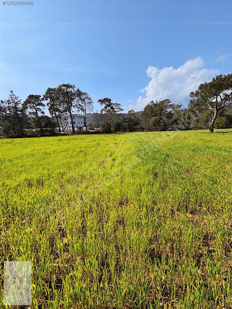 TELMESSOS GAYRİMENKUL DEN ÇALTIÖZÜ RIZAİ TAKSİMLİ 1.152 m2 TARLA - MUĞLA SEYDİKEMER fotoğraf 6
