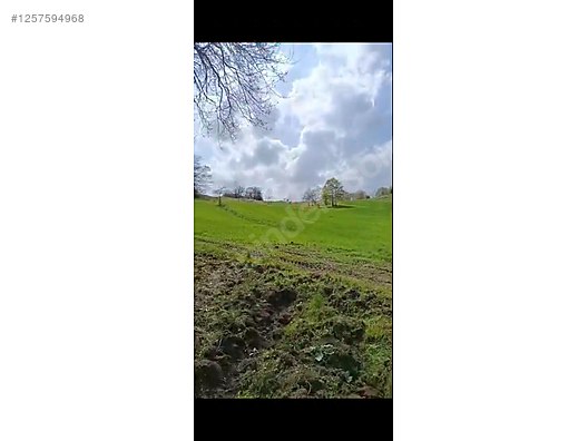 KOCAELİ İZMİT BULDUK  KÖYÜNDE 985 M²  TARLA  SATILIKTIR - KOCAELİ İZMİT fotoğraf 5