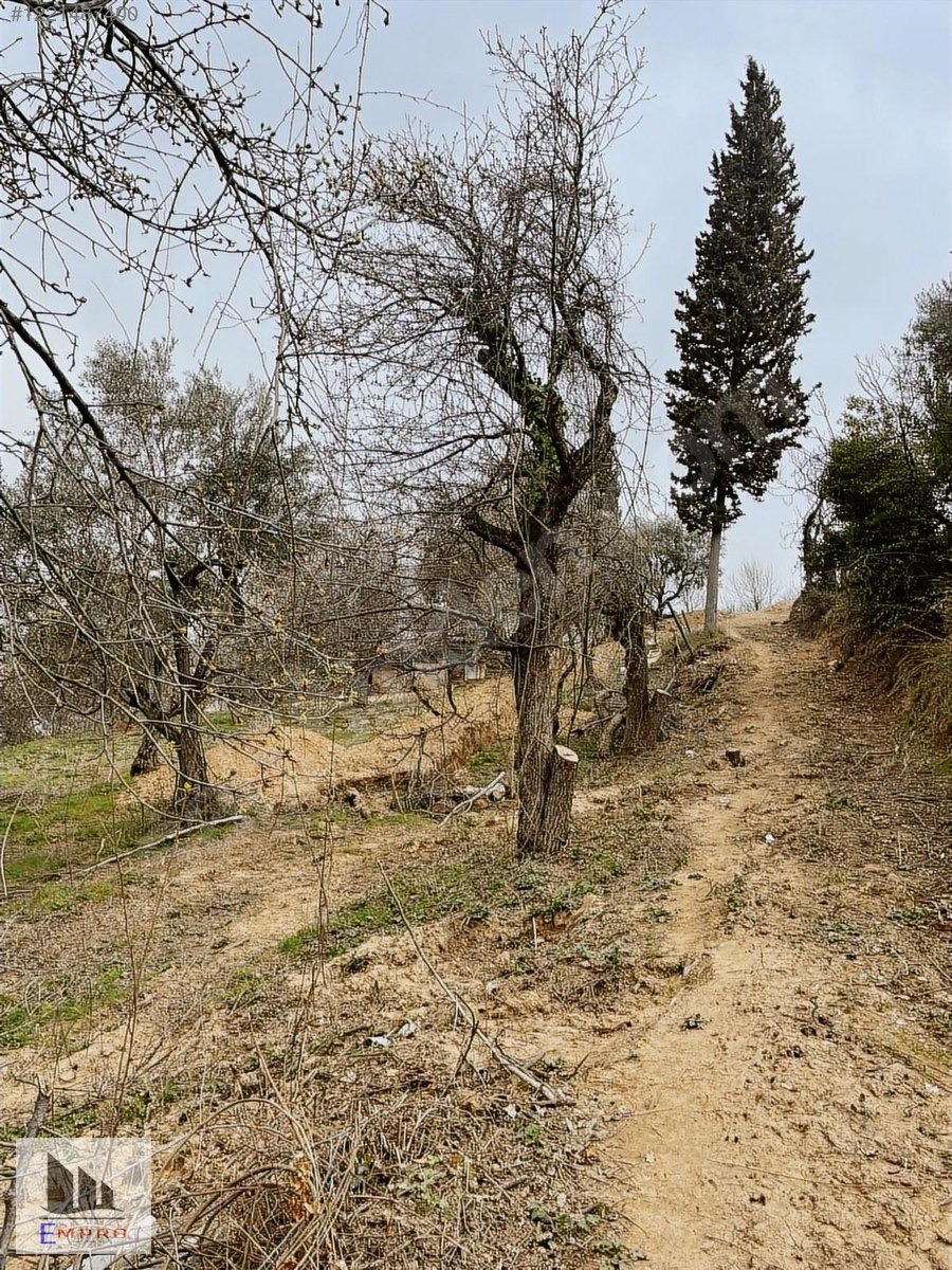 KARAMÜRSEL KAYACİKTA 22,746 M2 SATILIK ARAZI - KOCAELİ KARAMÜRSEL fotoğraf 8