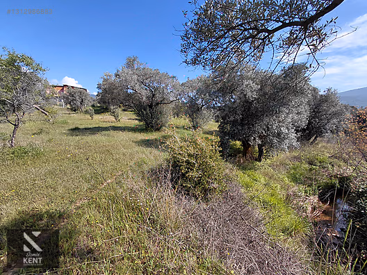 Kemalpaşa Dereköy'de Satılık 4850 m2 Bahçe - İZMİR KEMALPAŞA fotoğraf 42
