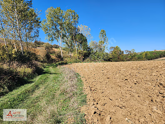 TAHTALI GÖLETİNE YAKIN BÖLGE GEREDELİ'DE 3391 M2 MÜSTAKİL TARLA - KOCAELİ DERİNCE fotoğraf 12